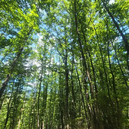 Casetta In Alta Val Ceno